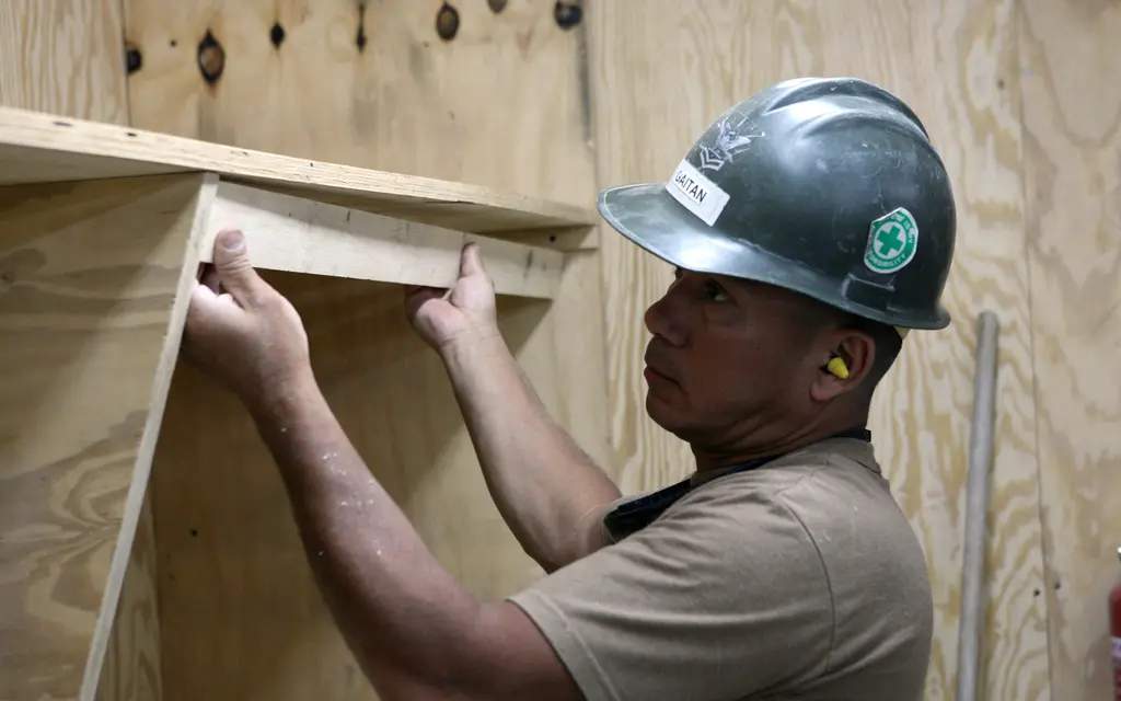 Custom Shelving & Built-Ins