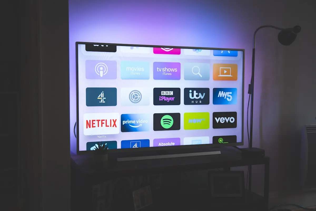 TV Mounting & Media Setup