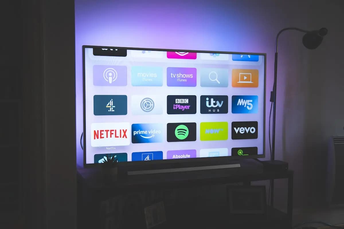TV Mounting & Media Setup
